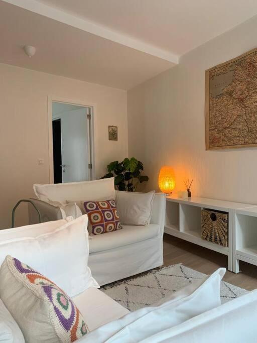 Cozy Studio In Centre Of Old Town Антверпен Экстерьер фото